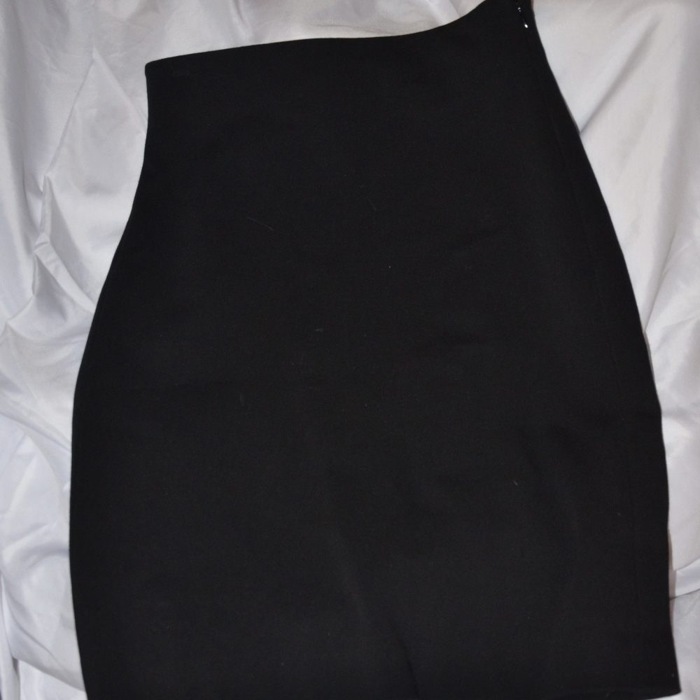 Ann Taylor Skirt